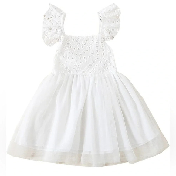 Baby Toddler Girls Embroidered Eyelet Tulle Dress Princess Girl Ruffle 9-12 M - Picture 1 of 13